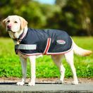 Weatherbeeta Comfitec 1200d Therapy-Tec Dog Coat (Black/Silver/Red) additional 1