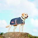 Weatherbeeta Comfitec 1200d Therapy-Tec Dog Coat (Black/Silver/Red) additional 2