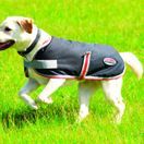 Weatherbeeta Comfitec 1200d Therapy-Tec Dog Coat (Black/Silver/Red) additional 3