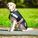 Weatherbeeta Comfitec 1200d Therapy-Tec Dog Coat (Black/Silver/Red) additional 4