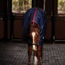 Weatherbeeta Comfitec 210d Channel Quilt Stable Combo 220g (Navy/Burgundy) additional 2