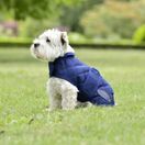 Weatherbeeta Comfitec Deluxe Diamond Quilt Dog Coat (Navy) additional 4