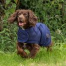 Weatherbeeta Comfitec Deluxe Diamond Quilt Dog Coat (Navy) additional 5