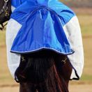 Weatherbeeta ComFiTec Duo Shield Detach-A-Neck (Blue/Silver/Navy) additional 3