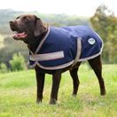 Weatherbeeta Comfitec Essential Dog Coat (Navy/Silver/Red) additional 1