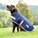 Weatherbeeta Comfitec Essential Dog Coat (Navy/Silver/Red) additional 2