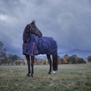 Weatherbeeta Comfitec Essential Turnout Combo 220g (Navy/Burgundy) additional 9