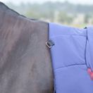 Weatherbeeta Comfitec Essential Turnout Combo 360g (Navy/Burgundy) additional 7