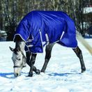 Weatherbeeta Comfitec Essential Turnout Rug Combo Neck 360g Heavyweight Turnout (Navy/Silver/Red) additional 2