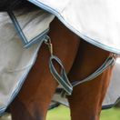 Weatherbeeta Comfitec Hexi Shield Combo Neck (Silver/Teal Blue) additional 5