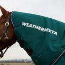 Weatherbeeta ComfiTec Plus Dynamic Detach a Neck 100g Turnout (Forest Green/Navy) additional 6