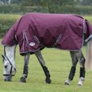 Weatherbeeta ComfiTec Plus Dynamic II Turnout Combo 100g Med/Lite (Maroon) additional 2