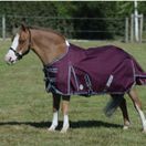 Weatherbeeta ComfiTec Plus Dynamic II Turnout Standard 0g Light (Maroon) additional 8