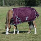 Weatherbeeta ComfiTec Plus Dynamic II Turnout Standard 0g Light (Maroon) additional 9