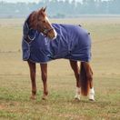 Weatherbeeta Comfitec Tyro Turnout Combo 220g (Navy/Charcoal) additional 2