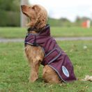 Weatherbeeta Comfitec Windbreaker Free Deluxe Dog Coat (Maroon/Grey/White) additional 3