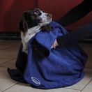 Weatherbeeta Dog Towel (Blue) additional 1