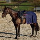 Weatherbeeta Essential Fleece Lined Quarter Sheet (Navy/Burgundy) additional 3