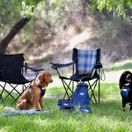 Weatherbeeta Explorer Dog Food Portable Bag (Navy) additional 4