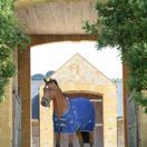 Weatherbeeta Fleece Cooler Standard Neck (Dark Blue/Grey/White) additional 4