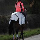 Weatherbeeta Reflective Wrap Around Exercise Sheet (Silver/Black) additional 4