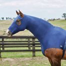 Weatherbeeta Stretch Hood With Zip (Navy) additional 1