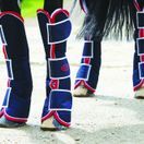 Weatherbeeta Wide Tab Long Travel Boots (Navy/Red/White) additional 1