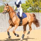Woof Wear Close Contact Sheepskin Pad (Navy) additional 4