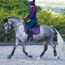 Woof Wear Club Brushing Boot Colour Fusion (Damson) additional 2