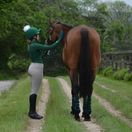 Woof Wear Contour Head Collar (British Racing Green) additional 4