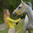Woof Wear Contour Head Collar (Yellow) additional 4