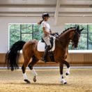 Woof Wear Dressage Sheepskin Pad (White) additional 4