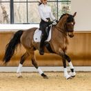 Woof Wear Elite Comfort Mesh Dressage Saddlepad (White) additional 4