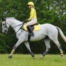 Woof Wear GP Saddle Cloth (Sunshine Yellow) additional 3