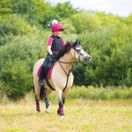 Woof Wear GP Saddle Cloth Colour Fusion (Berry) additional 3