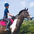 Woof Wear GP Saddle Cloth Colour Fusion (Berry) additional 4