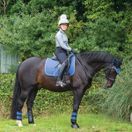 Woof Wear GP Saddle Cloth Colour Fusion (Electric Blue) additional 3