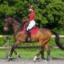 Woof Wear GP Saddle Cloth Colour Fusion (Shiraz) additional 3