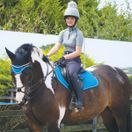 Woof Wear GP Saddle Cloth Colour Fusion (Turquoise) additional 3