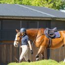 Woof Wear Herringbone Close Contact Saddle Pad (Navy) additional 4