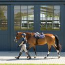Woof Wear Herringbone Close Contact Saddle Pad (Navy) additional 6