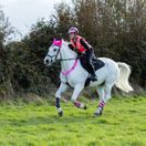 Woof Wear High Viz Riding Vest (Pink) - Not Certified additional 3