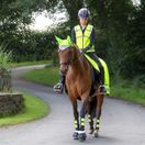 Woof Wear High Viz Riding Vest (Yellow) additional 3