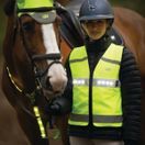 Woof Wear LED Hi Vis Riding Vest (Hi Vis Yellow) additional 3