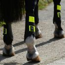 Woof Wear Reflective Club Boot (Reflective) additional 2