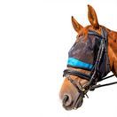 Woof Wear Ride on Fly Mask (Turquoise) additional 1