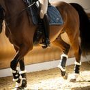 Woof Wear Vision Elegance Brushing Boot (Black) additional 6