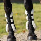 Woof Wear Vision Elegance Tendon Boot (Black) additional 3