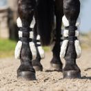 Woof Wear Vision Elegance Tendon Boot (Black) additional 4