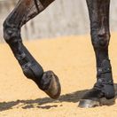 Woof Wear Vision Tendon Boot (Black) additional 4